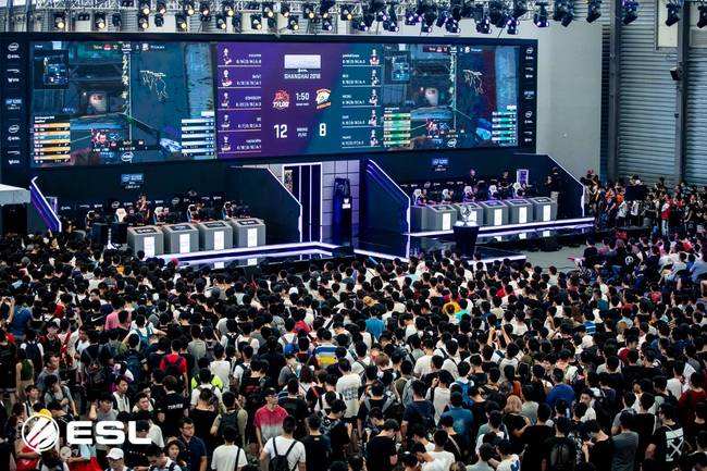 网前技术频 网前技术频