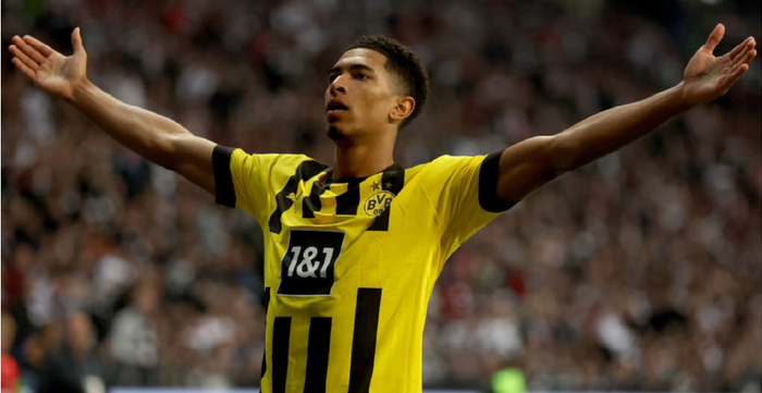 荷兰队在各 荷兰队在各