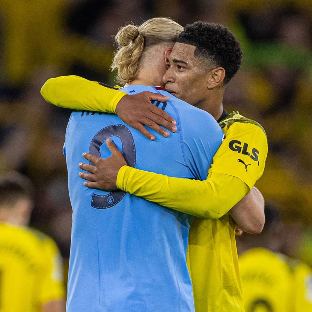 天才读牌 天才读牌